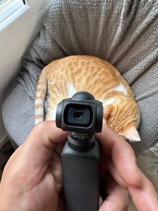 DJI Osmo Pocket – Cámara 4K estabilizada (como nue