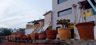 Lote de 15 Maceteros.