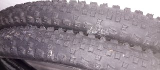 Cubiertas Schwalbe 29er Rapid Rob