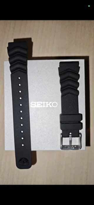 Correa Seiko 22 mm
