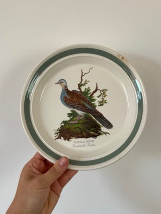 Plato Portmeirion Turtle Dove