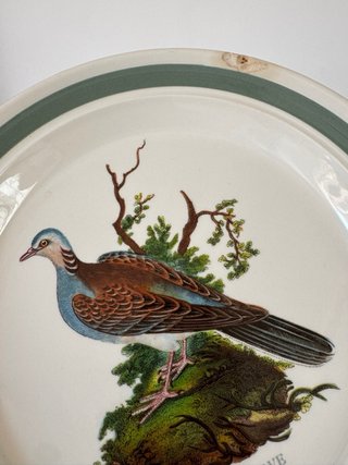 Plato Portmeirion Turtle Dove