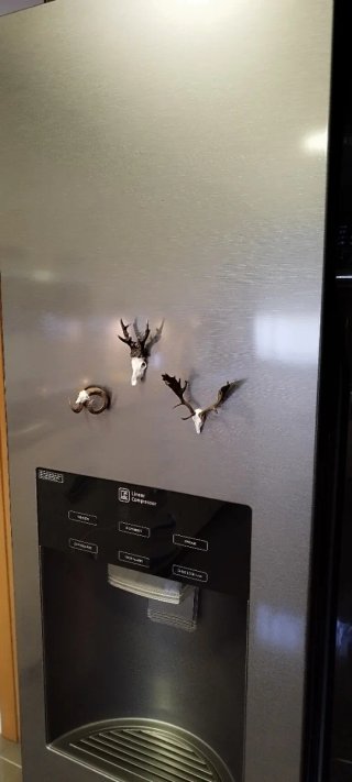 Imán de gamo para nevera