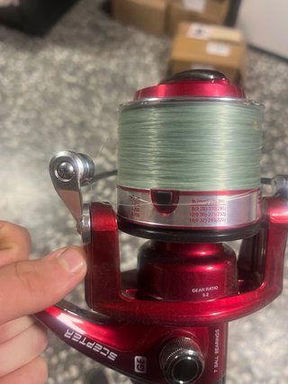 Carrete de pesca Daiwa Scepter GE