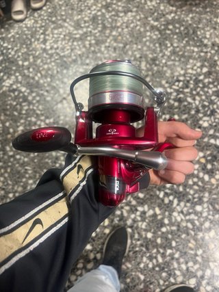 Carrete de pesca Daiwa Scepter GE