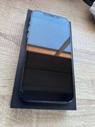 iPhone 12 Pro Max 256GB