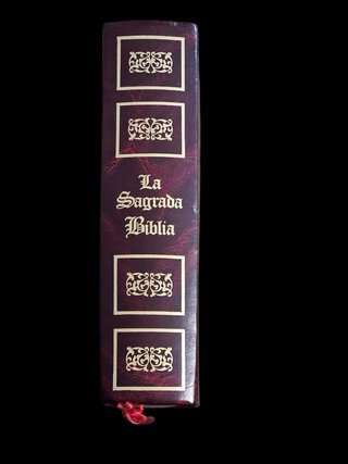 Libro la sagrada Biblia