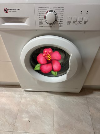 Lavadora EASelectric 8 Kg