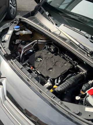 Citroën Berlingo Feel 2019 1.5Bhdi 100cv