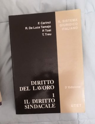 Diritto del lavoro 1 il diritto sindacale