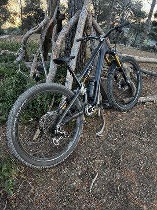 Specialized S-Works Stumpjumper 15