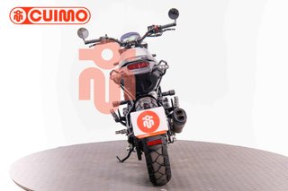 BENELLI LEONCINO 500