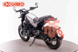 BENELLI LEONCINO 500