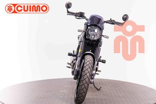 BENELLI LEONCINO 500