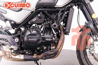 BENELLI LEONCINO 500