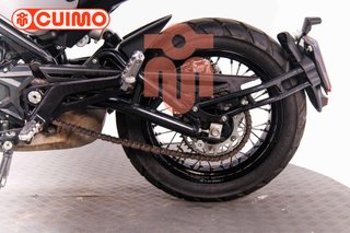BENELLI LEONCINO 500