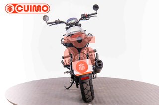 BENELLI LEONCINO 500