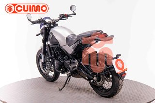 BENELLI LEONCINO 500