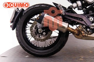 BENELLI LEONCINO 500