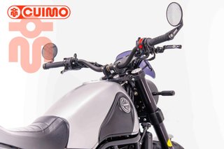 BENELLI LEONCINO 500