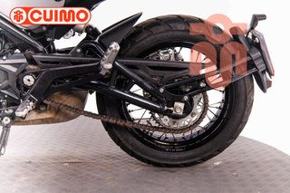 BENELLI LEONCINO 500
