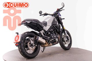 BENELLI LEONCINO 500