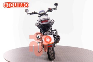 BENELLI LEONCINO 500
