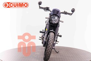 BENELLI LEONCINO 500