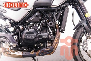 BENELLI LEONCINO 500