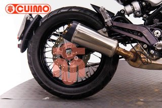 BENELLI LEONCINO 500