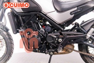 BENELLI LEONCINO 500