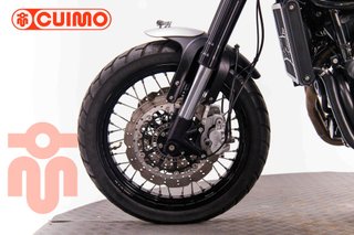 BENELLI LEONCINO 500