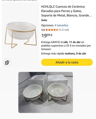 2 Comederos Cerámica Elevados Gato/Perro