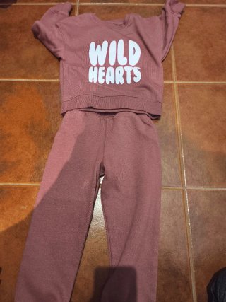 Conjunto Moletom Wild Hearts Rosa