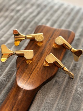 Warwick Proline Gold Bajo Eléctrico