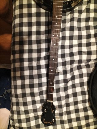 Banjo Fender con funda