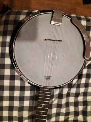 Banjo Fender con funda