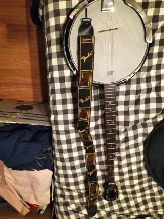 Banjo Fender con funda