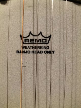 Banjo Fender con funda