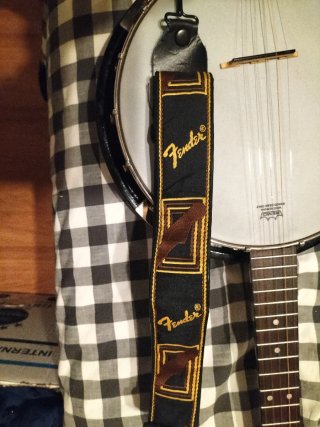 Banjo Fender con funda