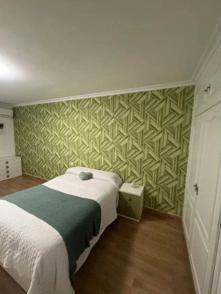 Servicios de pintura profesional