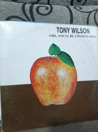 Lote 9 discos de vinilo remember L260501