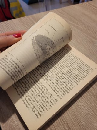 Los genes y nuestro futuro (El Libro De Bolsill...