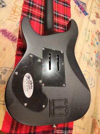 Guitarra Eléctrica Schecter Diamond Series