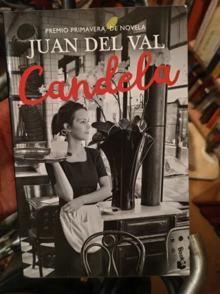 Libros y novelas / variedad