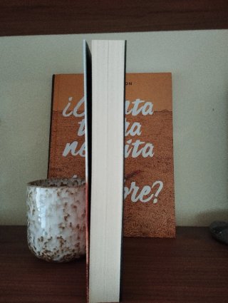 Ciudad victoria Salman Rushdie Nuevo