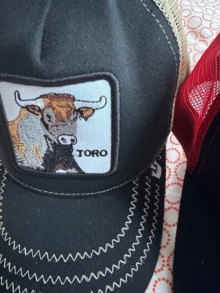 2 Gorras Trucker con Parche Animal