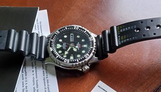Reloj Citizen Promaster NY0040 Automático