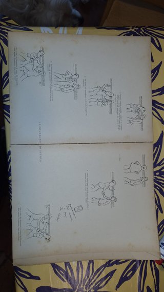 Dunque dicevamo... 100 disegni di Novello Mondador