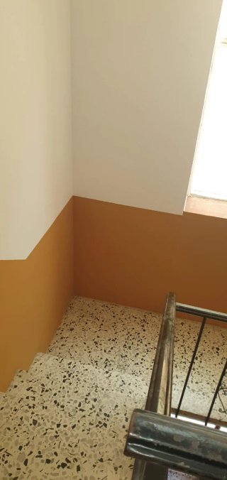 Pintor profesional